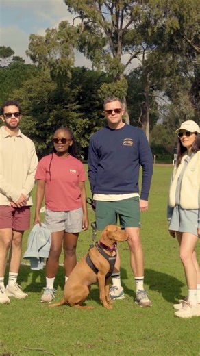 Introducing the Windhond pieces from our Retro Sport Collection — made for anyone and everyone, from the design studio to the streets. That embroidered windhond? It’s a subtle flex. A nod to unconventional sports. And it will surely look good on you. #fombrand | Freedom Of Movement