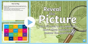 Opposite Words Reveal the Picture Activity