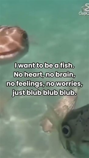 Blup blup #memes #funny # 1k?