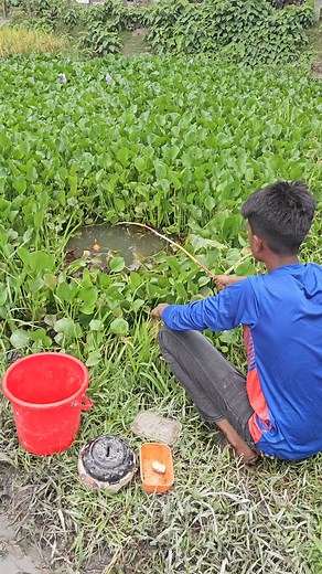 Village Boy Catching Fish With Hook | Daily Fishing Life