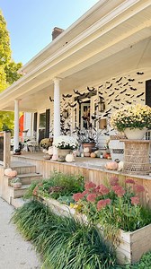 🦇🍂 Fall Front Porch Tour 🍂🦇 Here’s a quick peek of every inch and angle of our fall front porch! Which view is your favorite?! #gatheredlivinghome #gatheredlivingfall . . . . #halloweenentryway #halloweenreels #autumndecor #spookyreel #homedecorreels #fallhometour #halloweendiy #spookyhalloween #decorreels #spookyhomedecor #countrylivingmag #vintagehome #seasonaldecor #vintagedecor #fallentrywaydecor #fixerupper #eclecticdecor #halloweendecorations #betterhomesandgardens #halloweendecor #fal