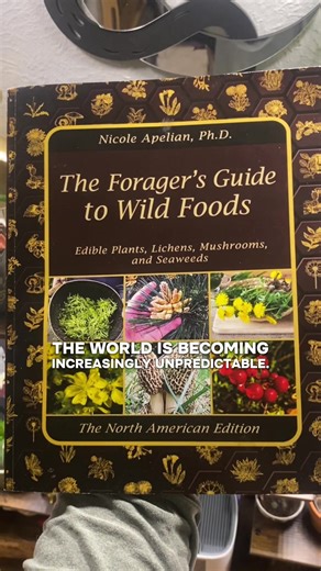 Essential Foraging Guide for North America