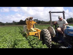 OXBO/Pixall BH100 Green Bean Harvester