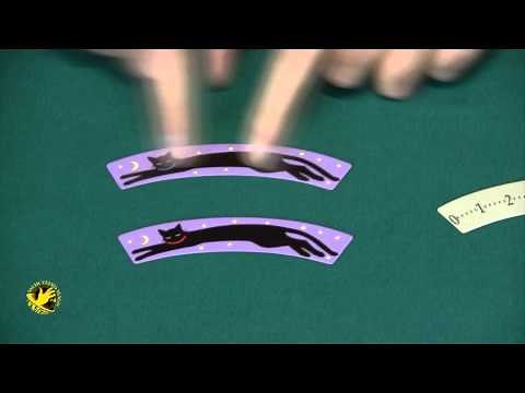 Tenyo Sakkaku Scale (Ruler) Puzzle