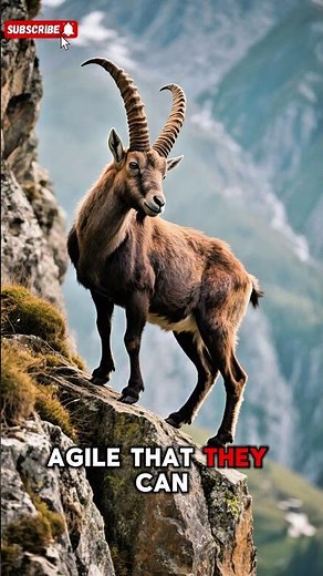 The Most Badass Goat on Earth 🐐 😂 | Alpine Ibex Facts #shorts