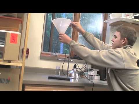 Using a Berlese Funnel to Gather Soil Insects