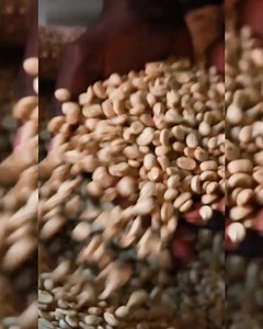 50K views · 18 reactions | Aujourd'hui, nous levons notre tasse en l'honneur de nos producteurs. Depuis 20 ans, le Nespresso AAA Sustainable Quality Program les soutient dans la culture d'un café de haute qualité. Grâce à ce programme, nous veillons notamment à la qualité de vie des producteurs de café et à la santé des sols. Un goût incomparable, créé avec soin. | Nespresso | Facebook
