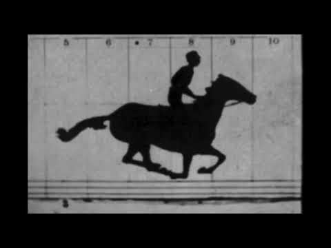 Sallie Gardner at a Gallop