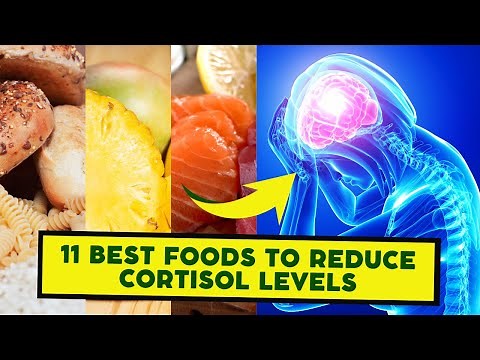 11 Best Food to Reduce Cortisol Level