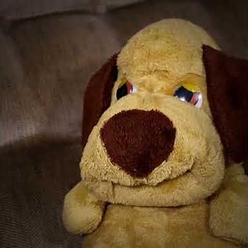 Lock Blocked | Stuffy and Friends Shorts