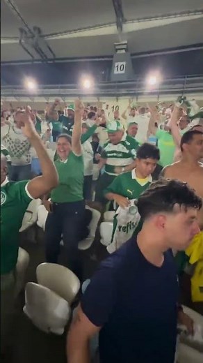 TORCIDA DO PALMEIRAS VAI À LOUCURA COM GOL DE FLACO LOPEZ EM CIMA DO FLAMENGO NO MARACANÃ