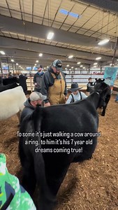 Showmanship isn’t just a word, it’s a way, a skill, a presentation of everything that it’s taken to get to that point. The smile at the end was everything! #newhomefarms #showmanship #angus ##badgerbrawl25 | New Home Farms