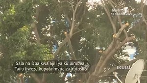 82 reactions | Ikulu Mawasiliano on Reels | Facebook