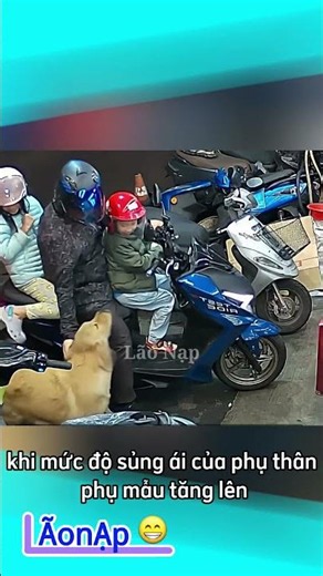 Lu xuyên không đi tranh sủng 🤣 #laonap