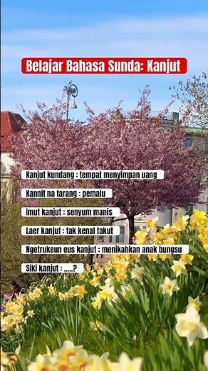 Belajar Bahasa Sunda Arti Kanjut