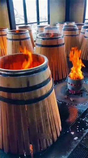 Why luxury wines taste so unique 🍷🔥 | The secret of French oak barrels #shorts