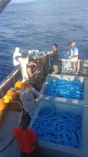 Ministry of Agriculture and Fisheries - Samoa on Reels