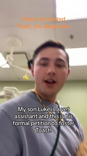 TOAST, THE NARCOLEPTIC DOG on TikTok