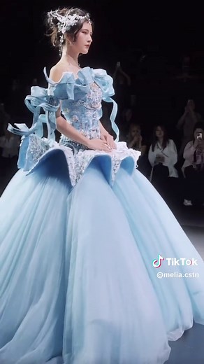 Cinderella’s Dress Transformation Inspiration