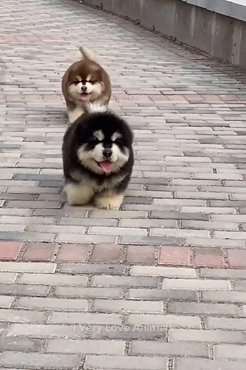 Omg so lovely 😍🥰😘 | Living Life Daily