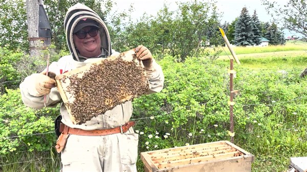Buzzworthy B.C. honey wins top prize