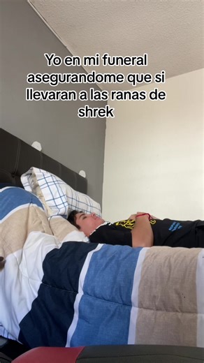 Shrek: Amor y Humor en el Mundo de Minecraft