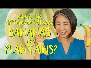 What's the difference between Bananas and Plantains? | Tasty & Informative