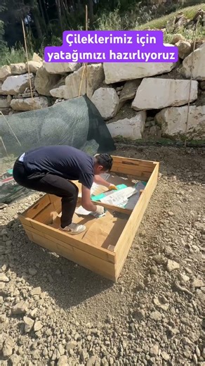 Organik tarım perma kültür yapıyoruz #nature #organikmeyve #garden #doğa #atatohumu #plants