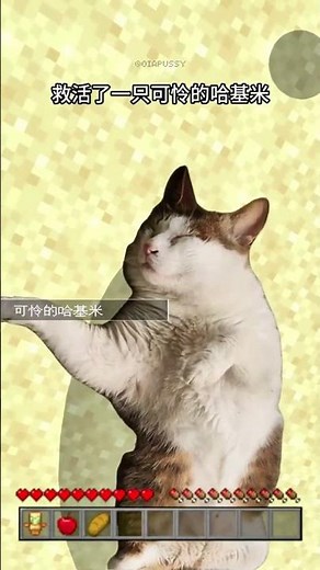 Minecraft Cat Decides to Nap Instead of Survive #3danimation