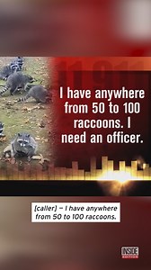 A frantic homeowner in Washington state called 911 as a horde of raccoons swarmed over a backyard. | Inside Edition