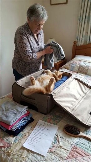 She started to pack. He unpacked himself into the suitcase. 🐾