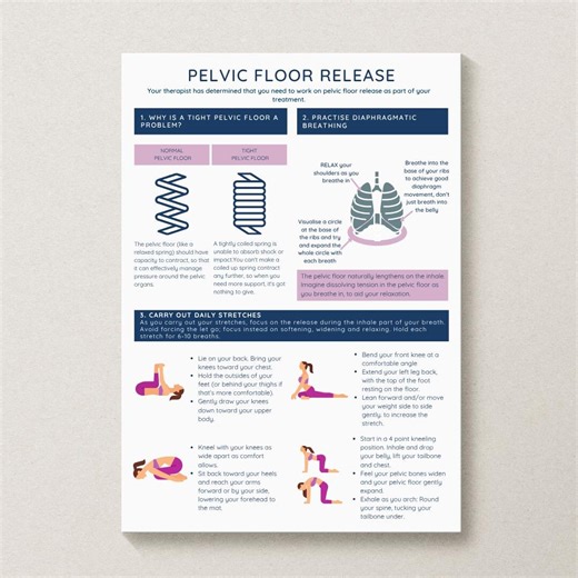 Pelvic Floor Stretches Handout | Patient Education (digital Download) - Etsy Canada