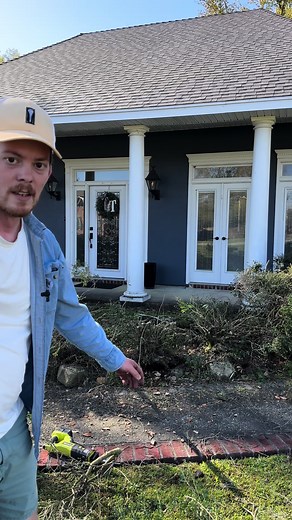 Easy Shrub Removal Techniques for Landscaping Projects