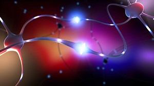 10 natural dopamine antagonists that limit happy hormone - Global Healthcare Guide, Magazine and Consultancy by Dr Prem Jagyasi