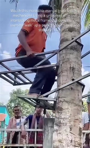The Self-Climbing Tree Lift #Innovation• #TreeClimbing• #TechHacks• #PalmTree• #Invention