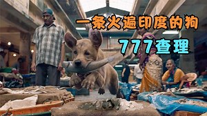 2022年印度温情片《777查理》一条火遍印度的狗