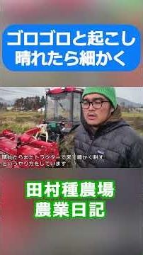 湿気る畑の秋起こしショート動画