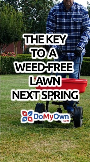 Fall Pre-Emergent: The Key to a Weed-Free Lawn This Spring