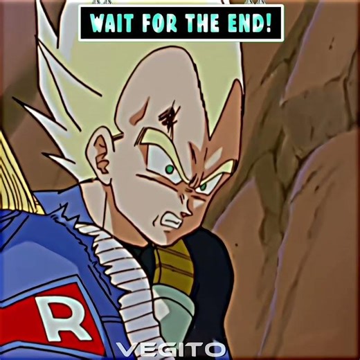 no. 18 punch vegeta #nobatidao