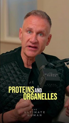 The FASTEST Way to Reset Your Body