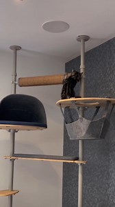 POV: You just upgraded your cat's climbing tower to a Freestyle Cat Tree. 😻 🛒: bit.ly/3V28SVa | Omlet USA