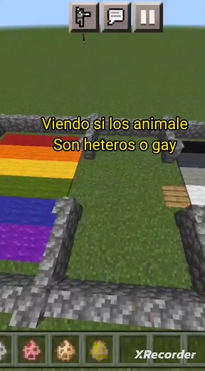 Minecraft Adventure: Exploring Animals and Colorful Paths