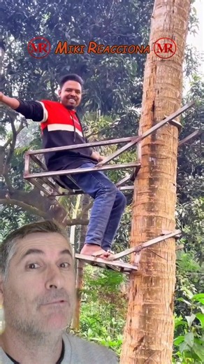 🌴😂“Look at how effective this system is for climbing palm trees!”💪👏/👉🇪🇦“¡Mira qué efectivo es este sistema para trepar palmeras!”👍😘 #MikiReacts #tips #woodworkingtips #carpentry #foryou #parati #plywood #woodworking #veneer #peeler #wood #woodworkingtips #carpentry #foryou #foryoupage | Miki Reacciona