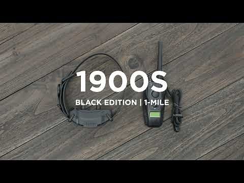 E-Collar How To | Dogtra 1900S BLACK Overview