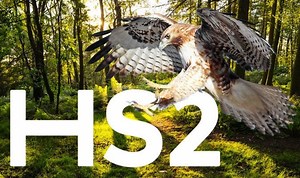 HS2: RSPB Director slams use of hawks to deter wildlife
