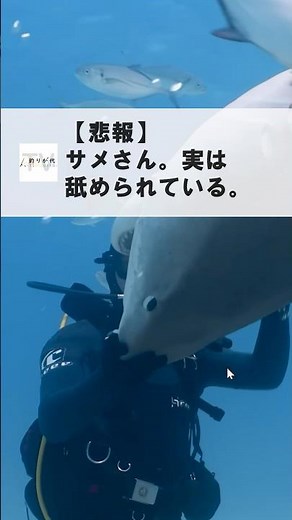 【命がけの「サメ肌」エステ】