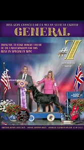 GENERAL ⭐️ BISS GCHS Chancellor Fa Mulan Stealth Fighter #7 ROTTWEILER (breed) GROUP WINNING BEST IN SPECIALTY SHOW #AKC #ADF #ROTTWEILER #rottie #workingdog | American Dog Fancier
