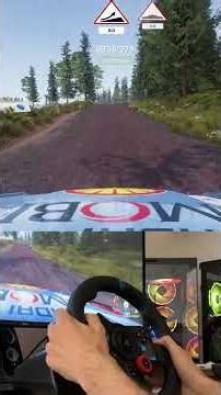 Quick Rally Run on G29