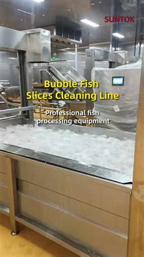 Fish slice cleaning machine