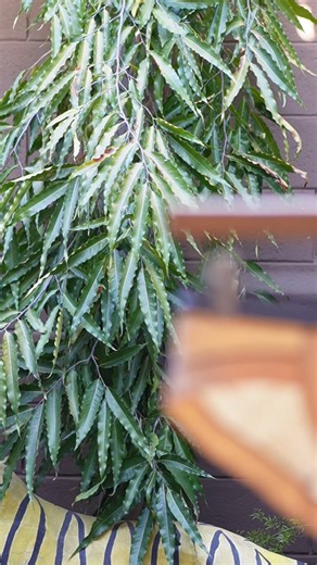 🚚 Envíos a todo El Salvador #MarcusUnderwear #ElSalvador #lenceria #ropainterior #lenceriamasculina | Marcus Underwear